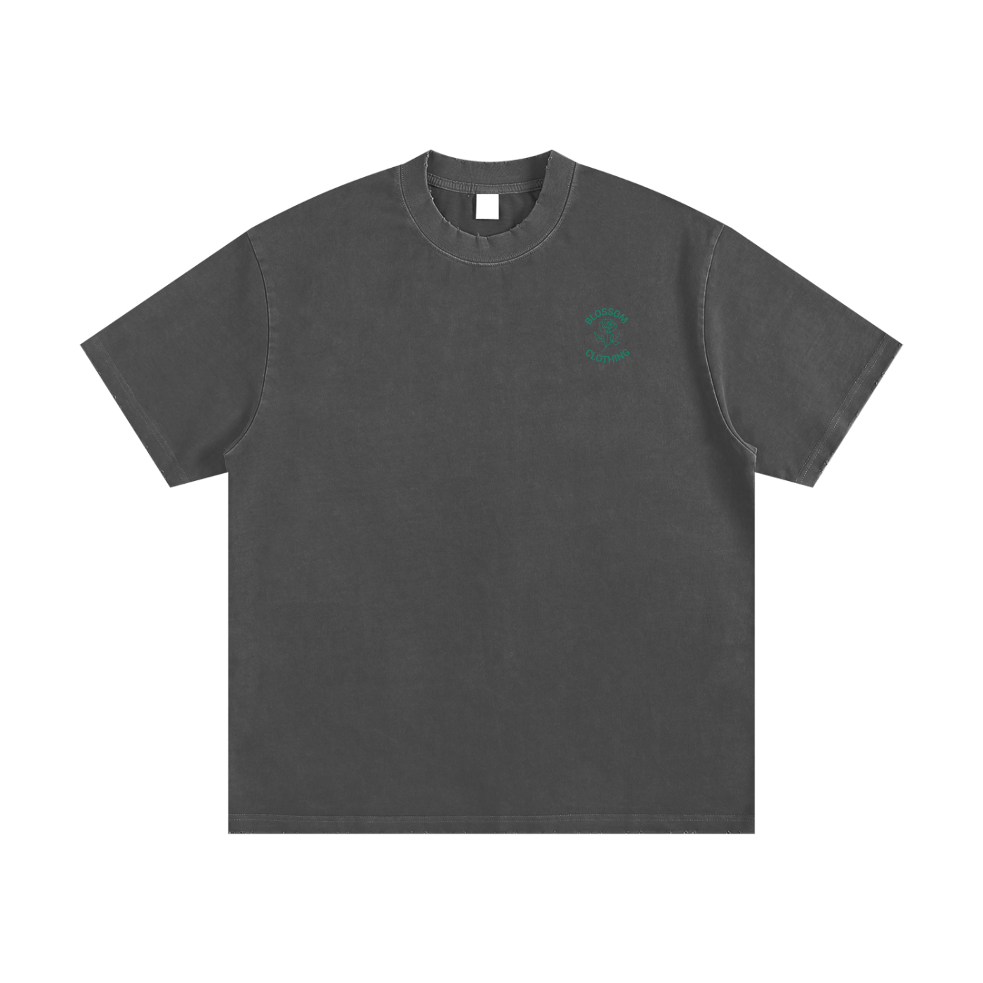 Snake Within Heavyweight Vintage Washed Frayed T-Shirt