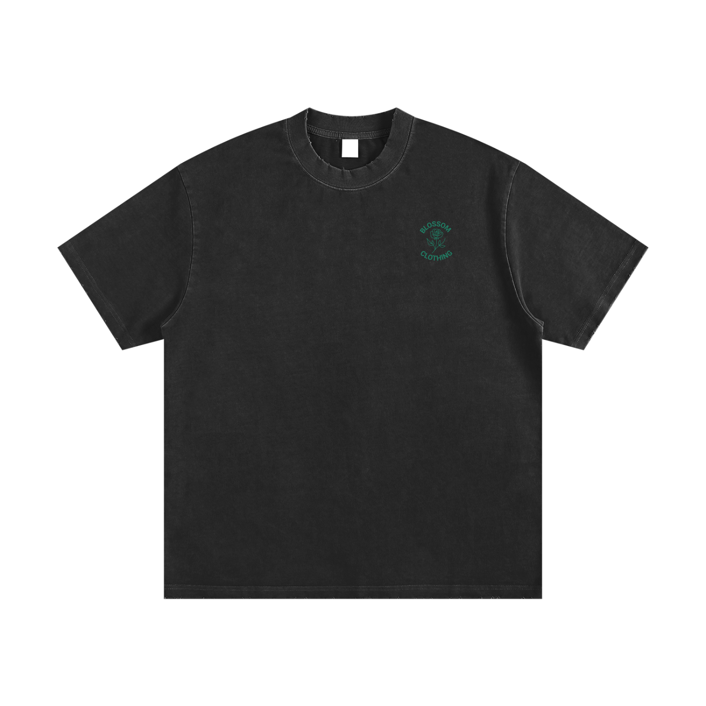 Snake Within Heavyweight Vintage Washed Frayed T-Shirt