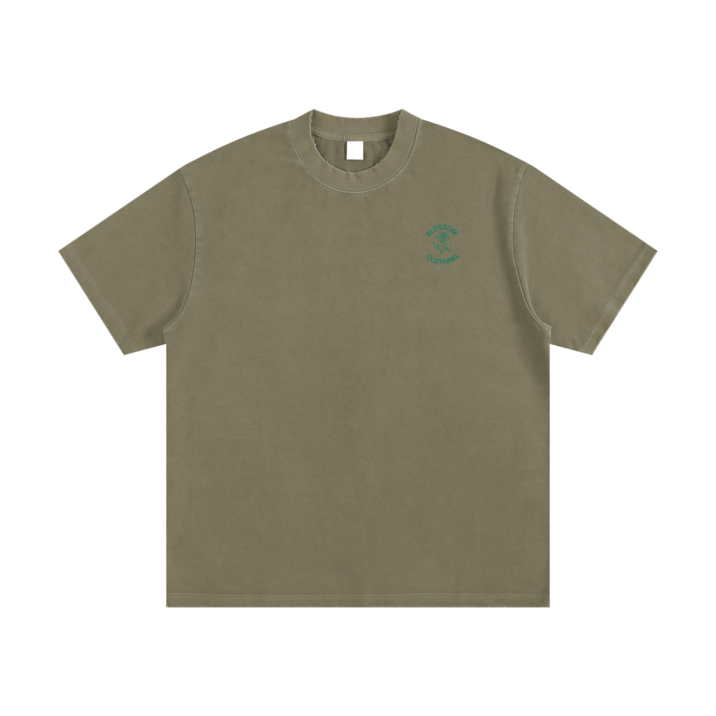 Snake Within Heavyweight Vintage Washed Frayed T-Shirt