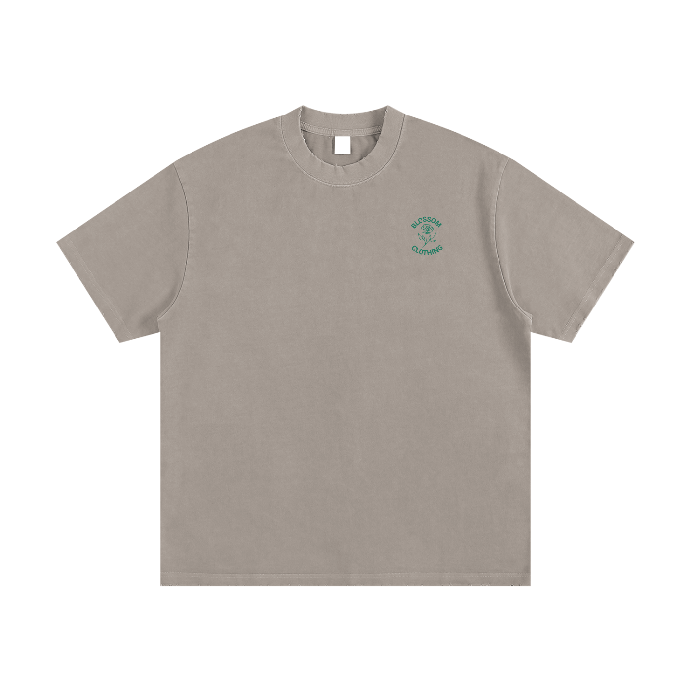 Snake Within Heavyweight Vintage Washed Frayed T-Shirt