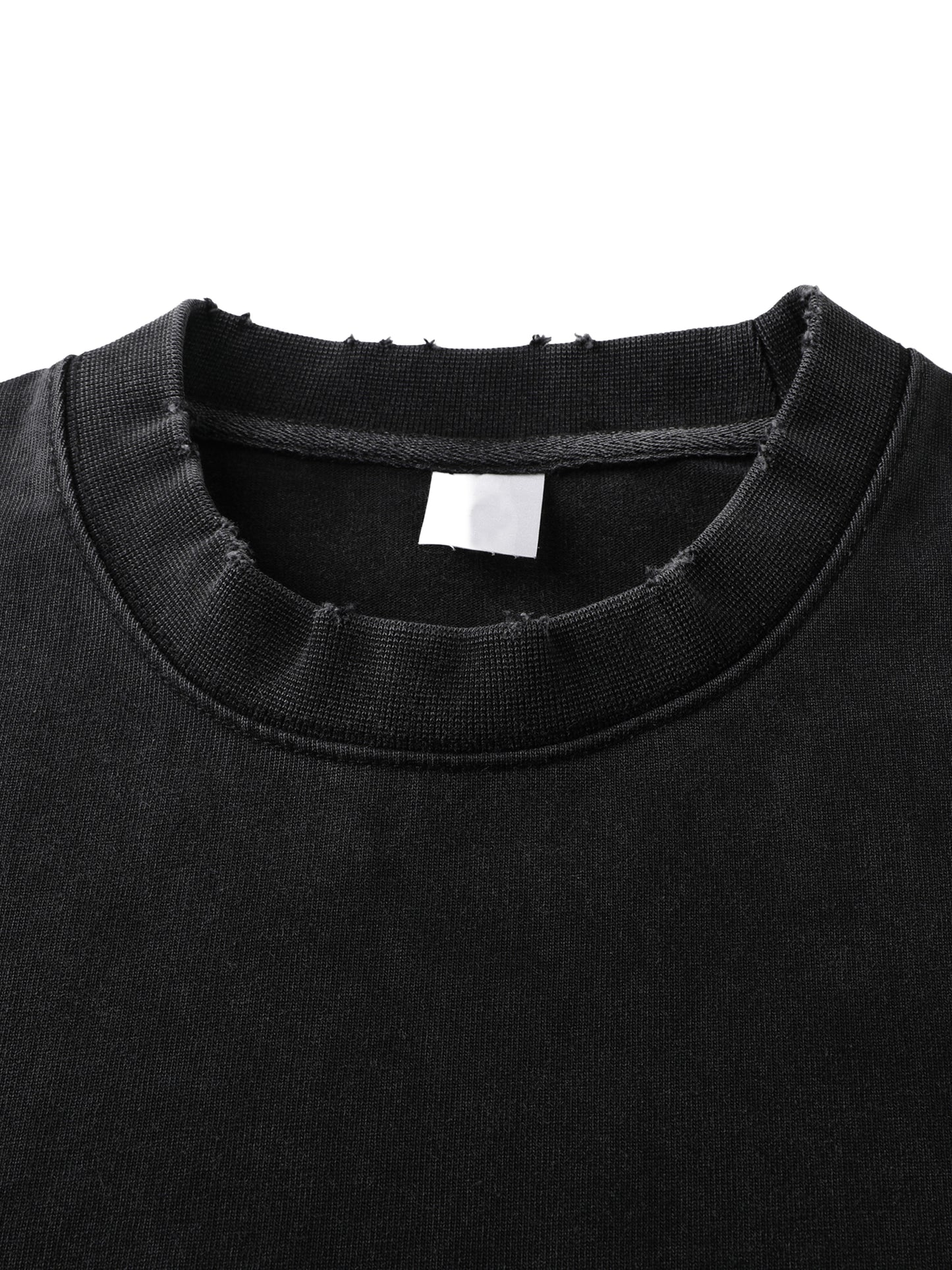 Snake Within Heavyweight Vintage Washed Frayed T-Shirt